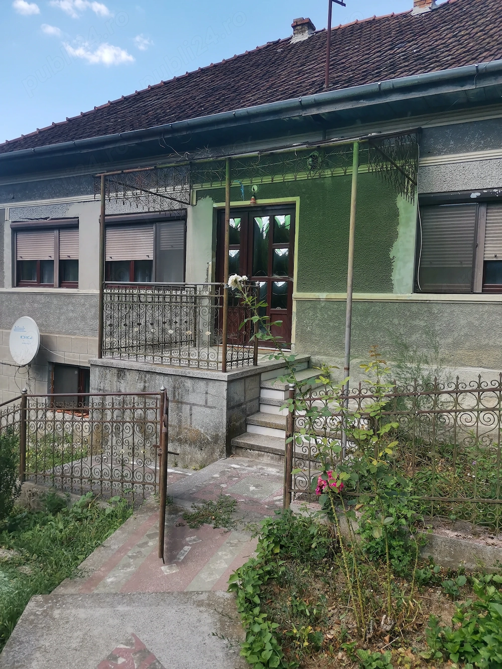 Vând casa mare in Ionesti Halmagiu