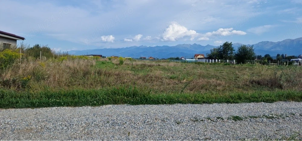 Teren intravilan 1200 mp, deschidere 14 ml in Avrig, judet Sibiu