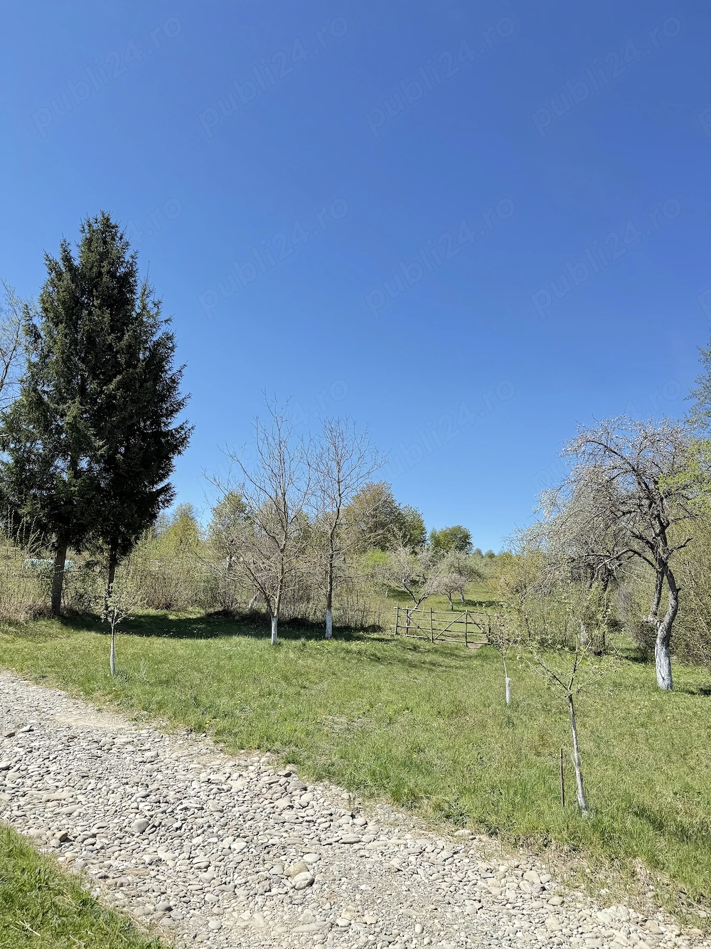 Teren de vânzare in satul Breb, Maramures