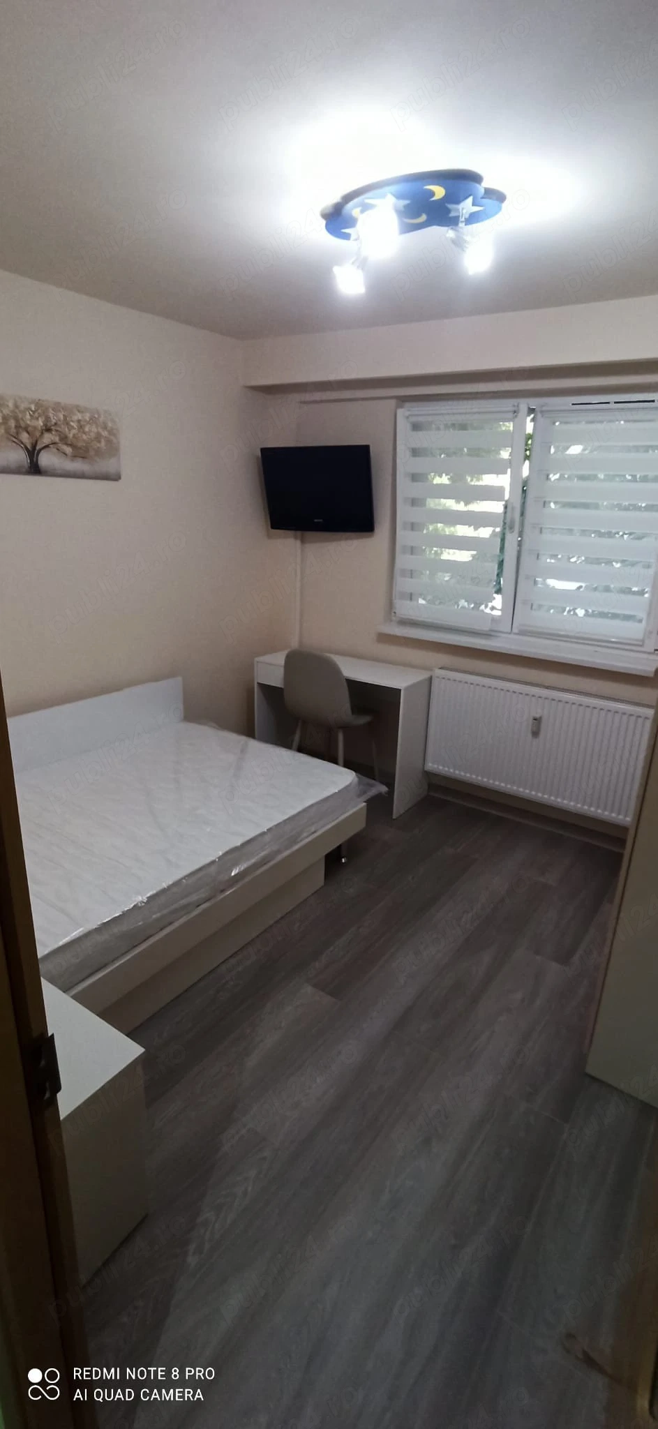 Berceni Luica-Brancoveanu 