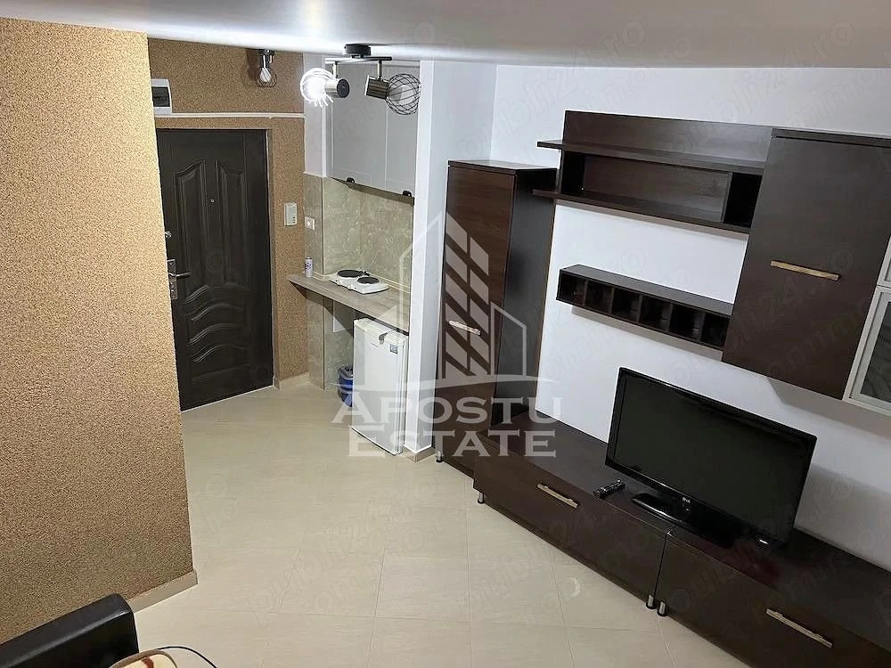 Apartament 1 camera de inchiriat, Dambovita, Timis