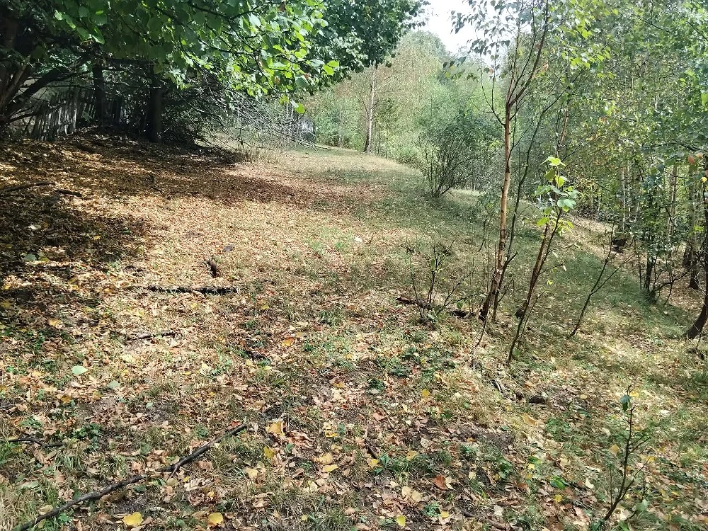 Teren de vanzare