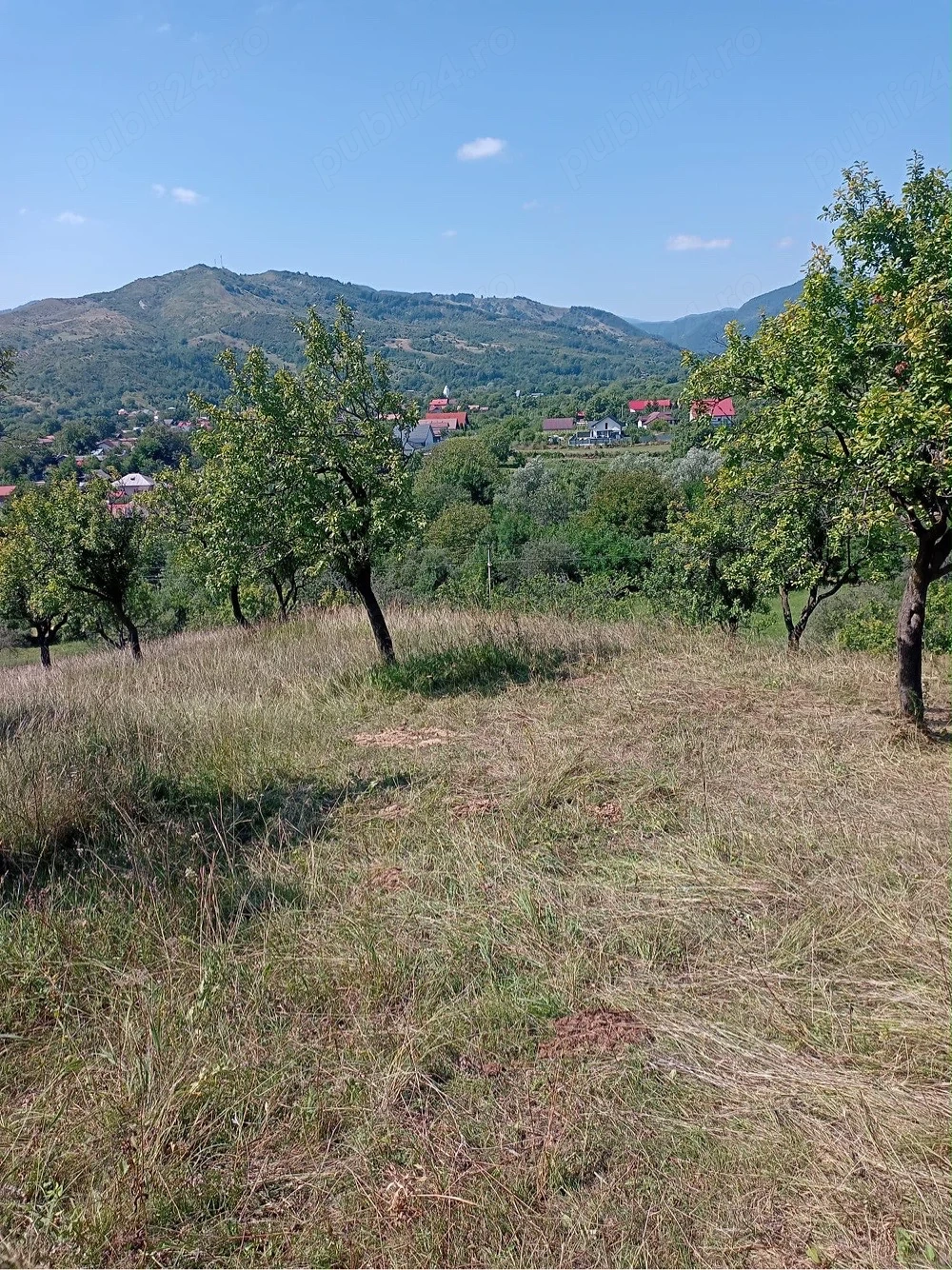 Teren extravilan de vânzare   Chiojdu, județul Buzău   3.100 m 