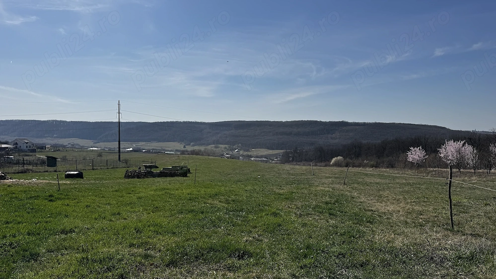 Teren intravilan de vânzare în Betfia, Sânmartin   1.436 mp, asfalt și utilități la gard