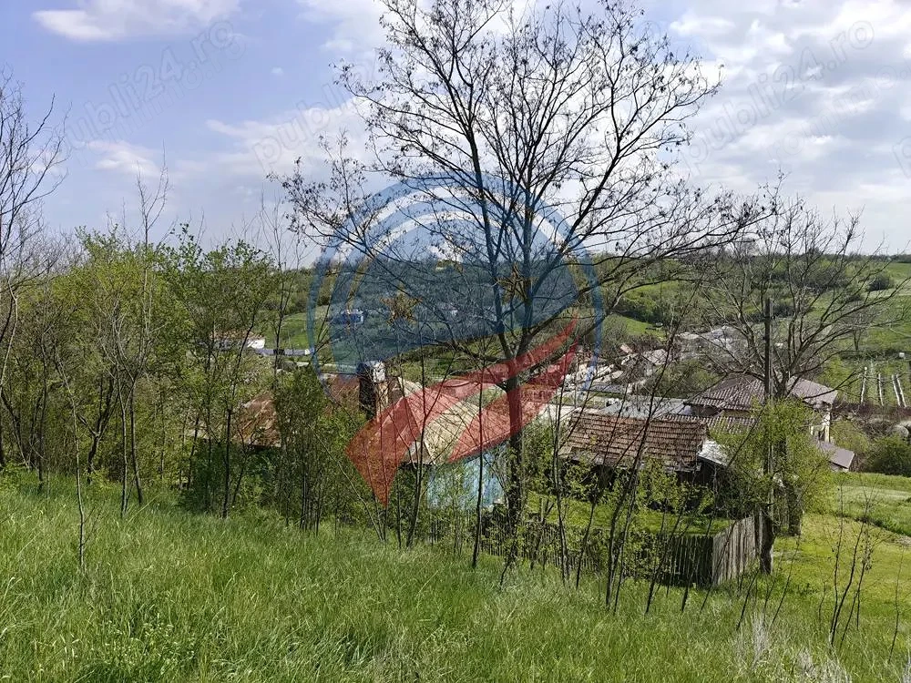 CASA LA 20 KM DE CRAIOVA CU 10000 MP. TEREN