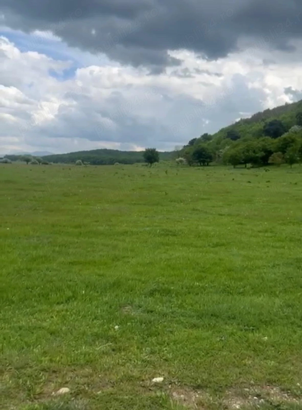 Vând 980m2 de pășune , Sanpetru 