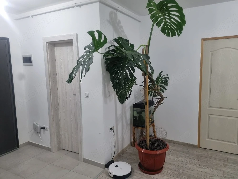Apartament de vanzare