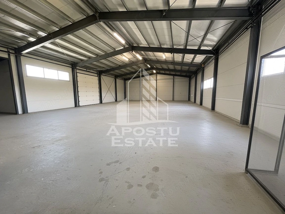 Hala 450 mp + 100 mp birouri, depozitare, service auto, Mosnita