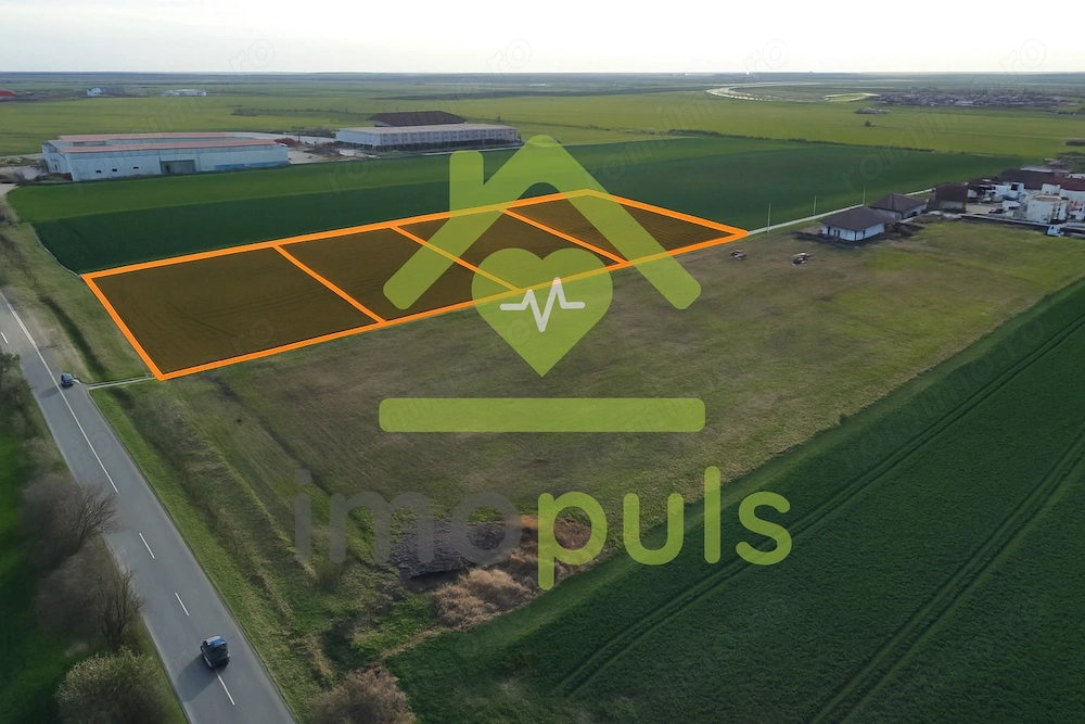 🗺️ Terenuri industriale – Sânandrei – lângă A1 și Centura Nord