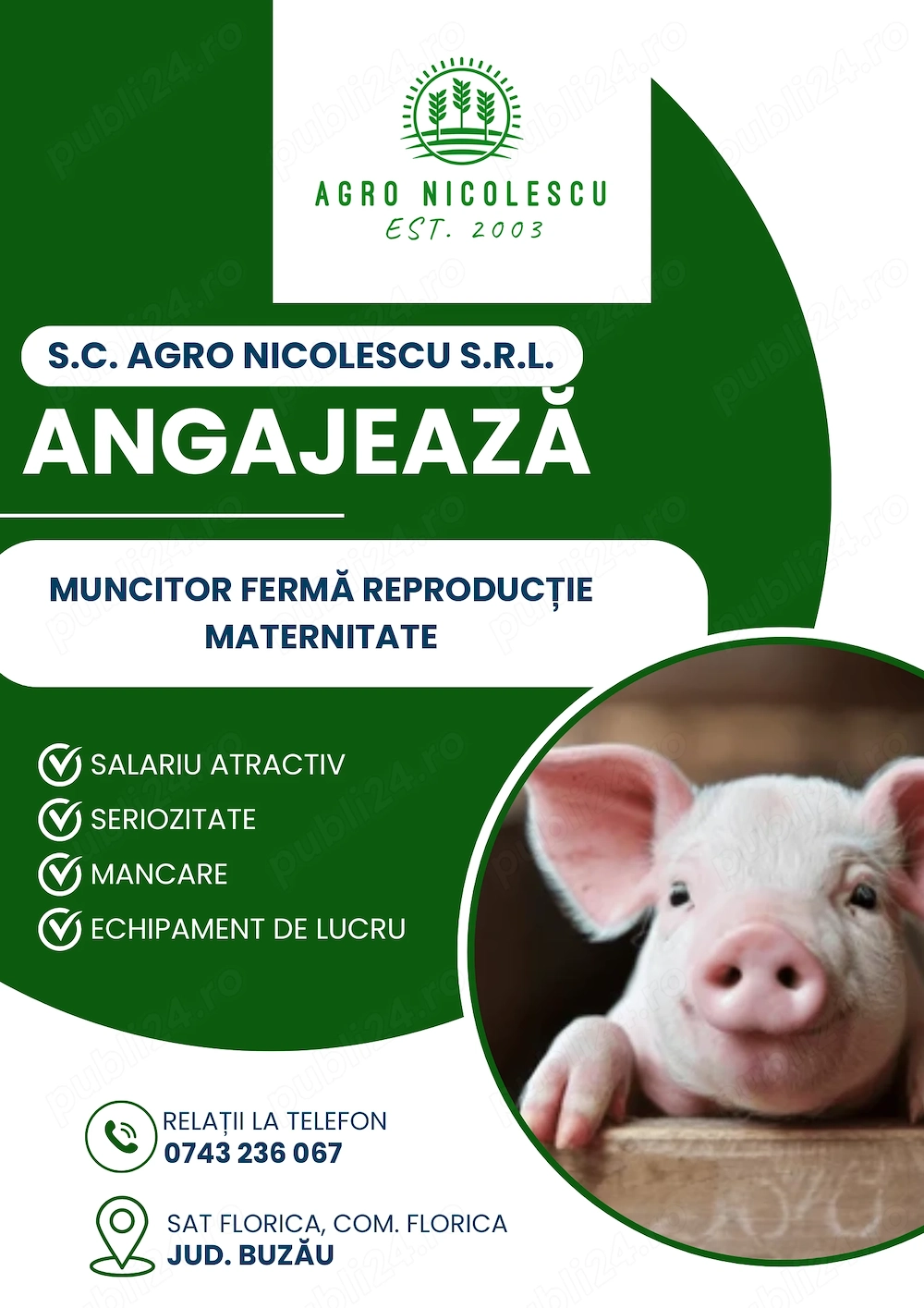 Angajăm Muncitor Fermă Suine Reproducție Maternitate