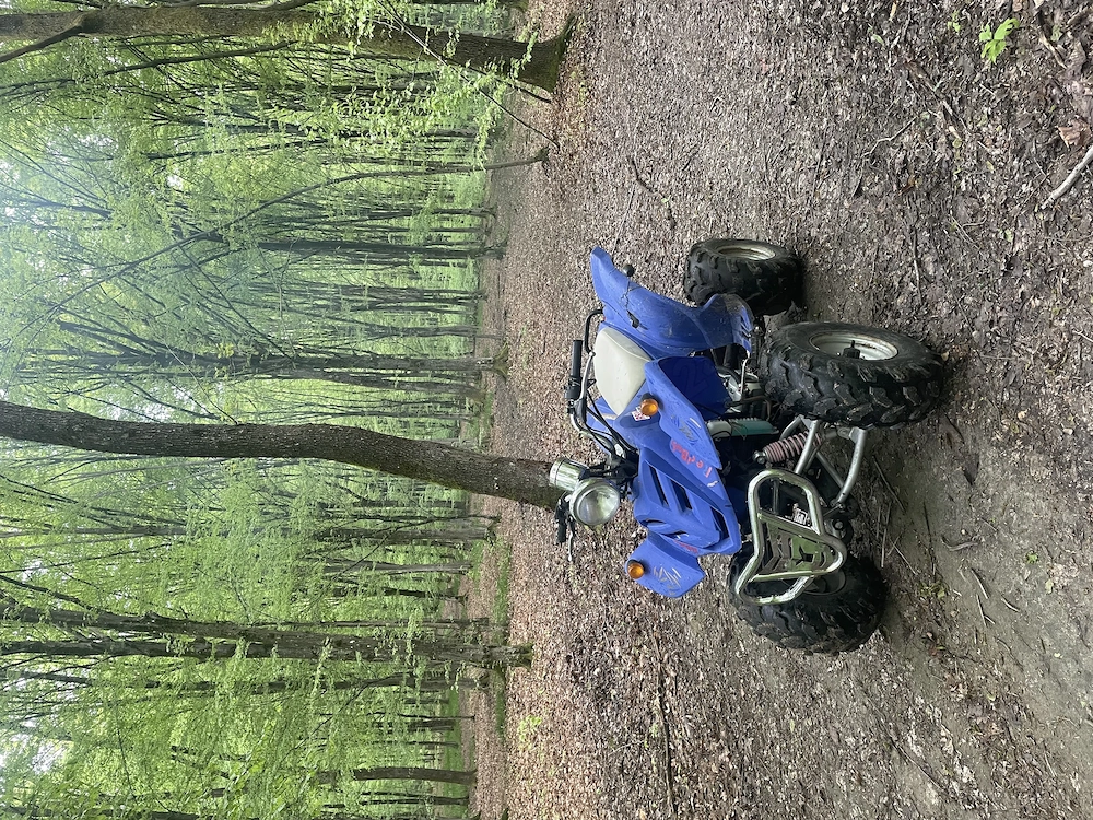 Vând atv bashan 200
