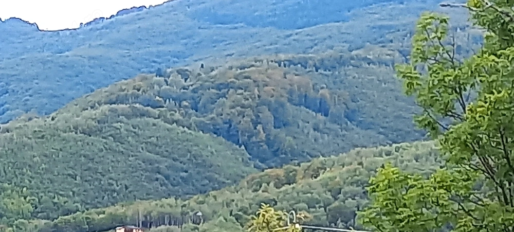 Vand casa si 1ha teren la tara, zona de munte