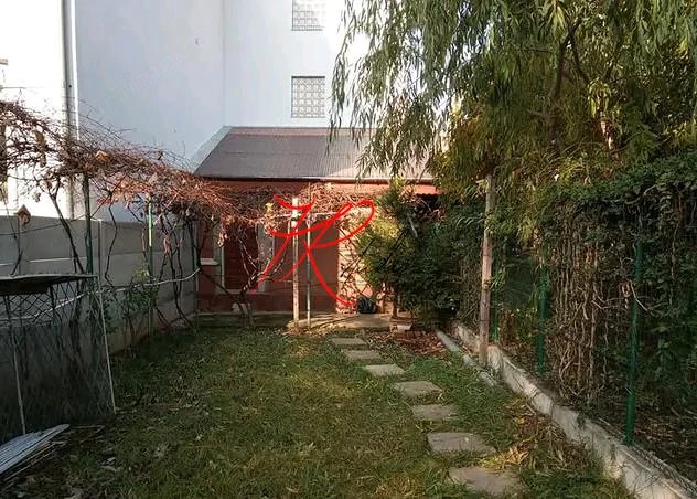 Vanzare casa modesta Andronache