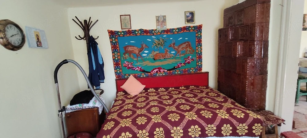 Casă de Vânzare în Sat Valea Nehoiului 