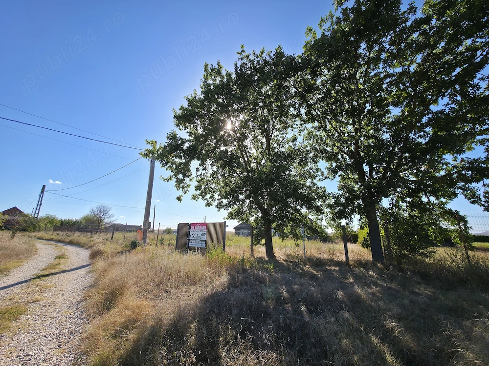 Teren intravilan 3.239 mp + casă, acces pe 3 laturi   Murighiol