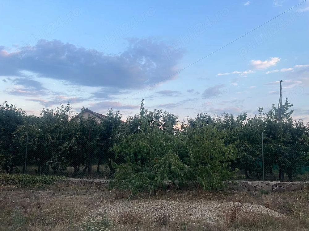 Vand teren intravilan in Leş(Nojorid)