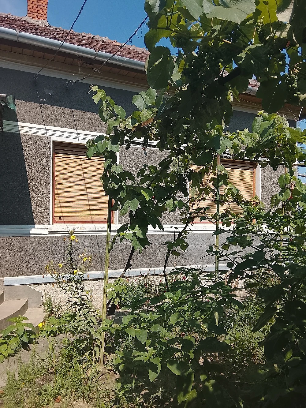 Casa de vanzare in zonă bună, locație excelentă, in orașul Chișineu-Criș 