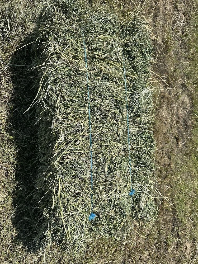 vindem baloți in Vidra Vrancea