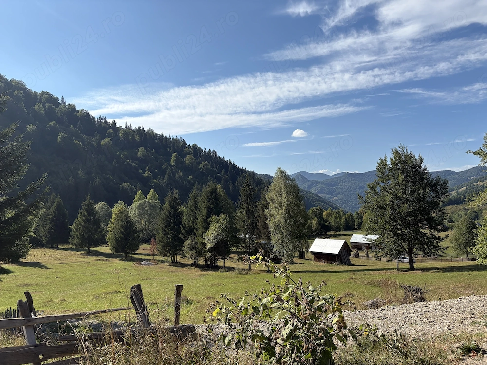 Teren intravilan 4.285 mp, Grințieș Neamț, zona Ceahlău, 9 euro mp