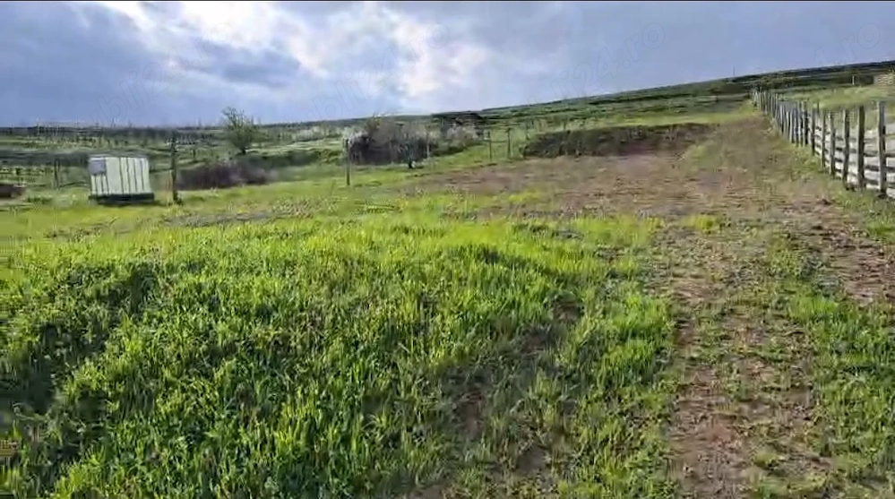 Vând teren intravilan 2500 mp, Chițorani, Prahova 