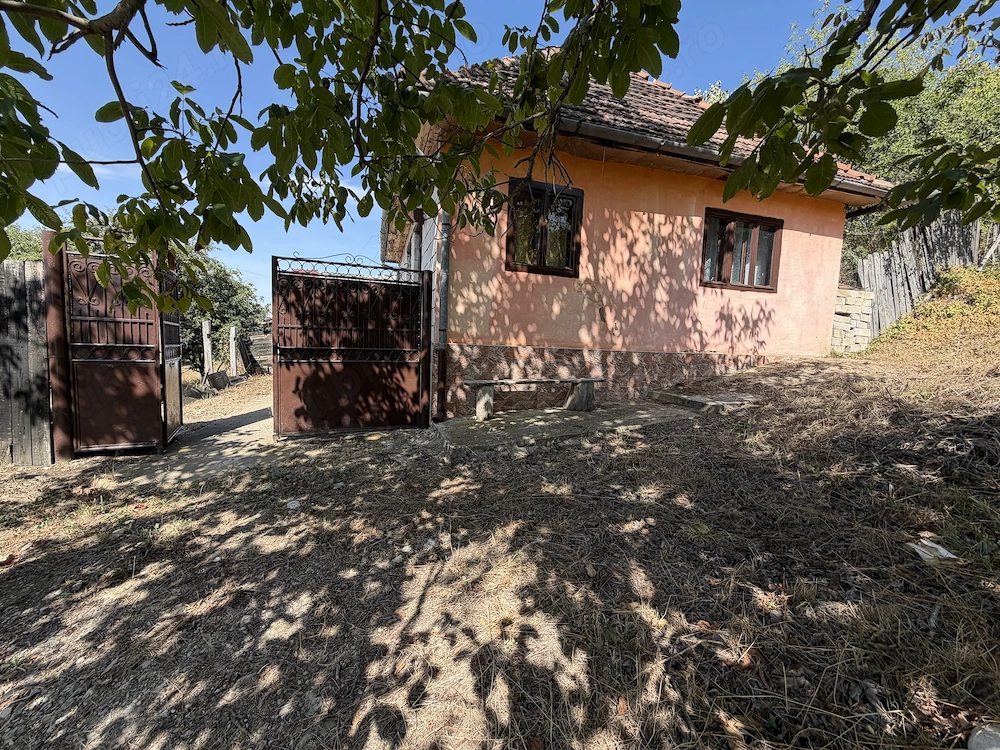 Casa de vanzare in Prunisor 2500mp
