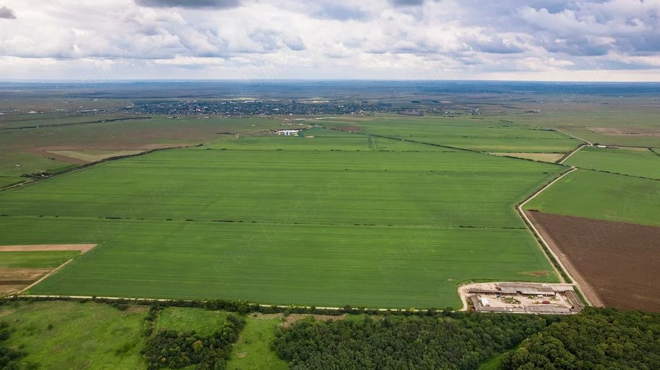 Giurgiu, Vânătorii Mici, teren 470 hectare
