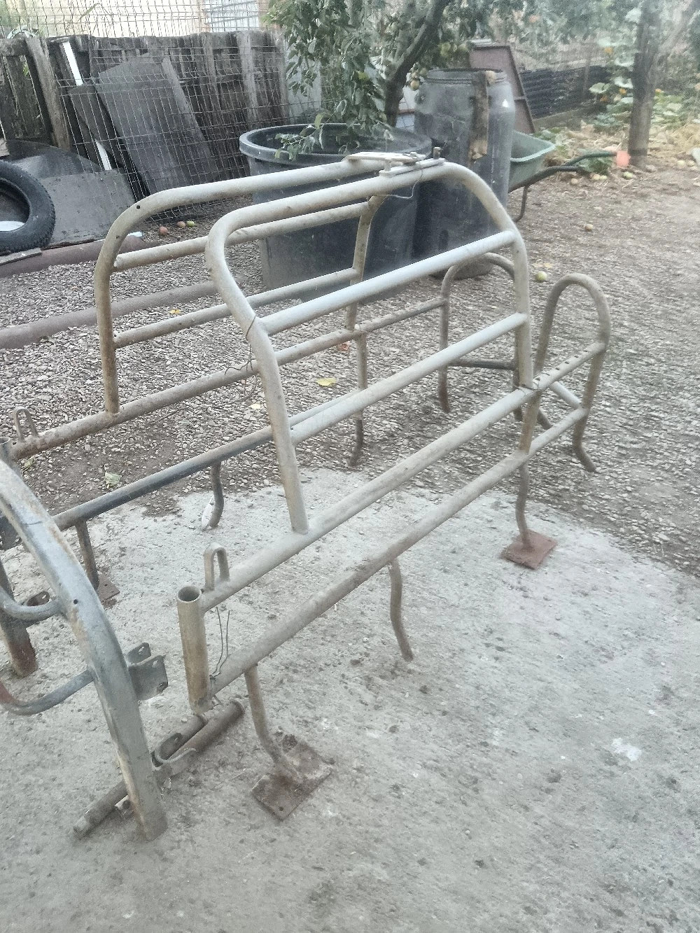 Boxă fătare purcea