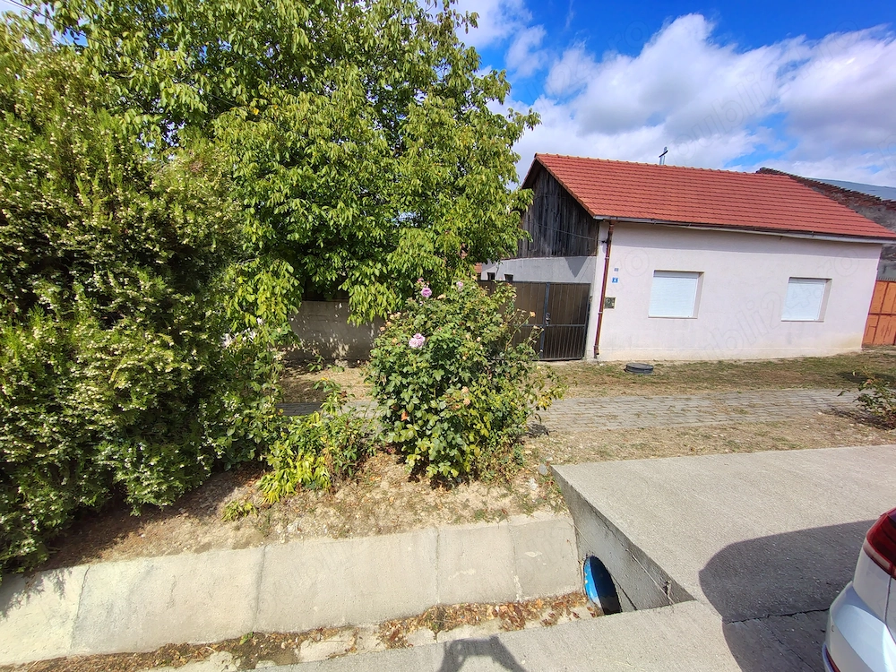 Vând casă Copăcele cu 1.622 sau 3.100 mp teren | Proprietar, acte la zi