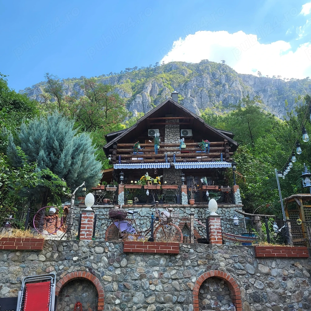 Inchiriez INTEGRAL Cabană Rustică in Baile Herculane 