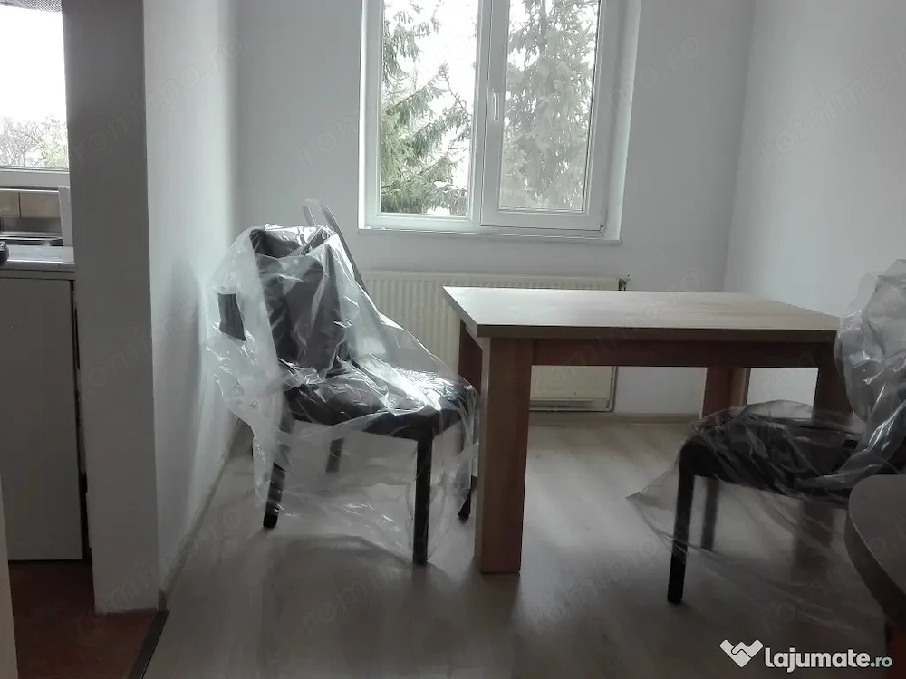 Ofer chirie in apartament