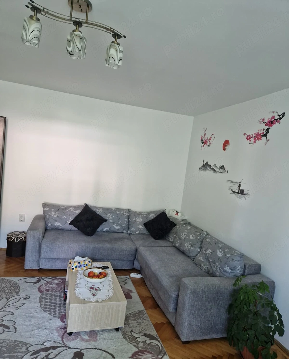 Schimb apartament cu casa