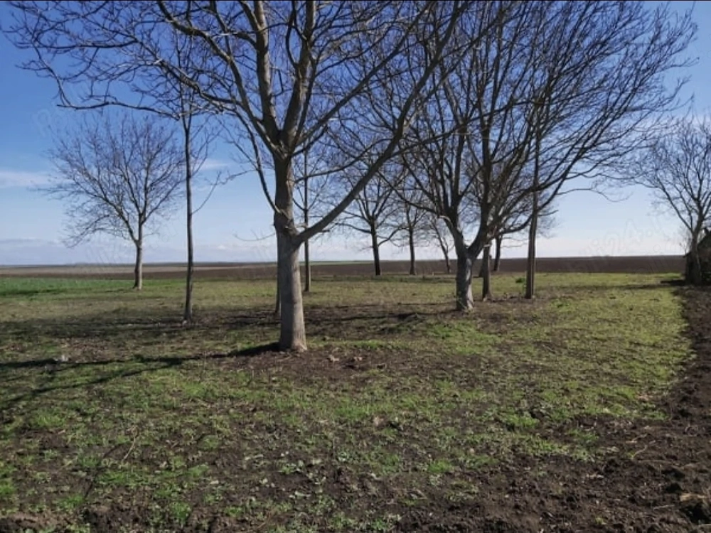 Loc de casă,Livadă,Loc de relaxare,intravilan!!!