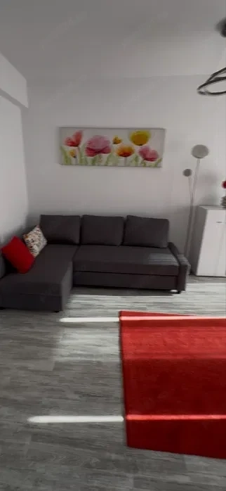 garsoniera ozana-modern-centrala proprie