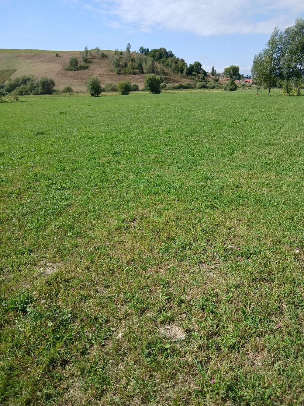 teren de vanzare 2000 mp in Barcani