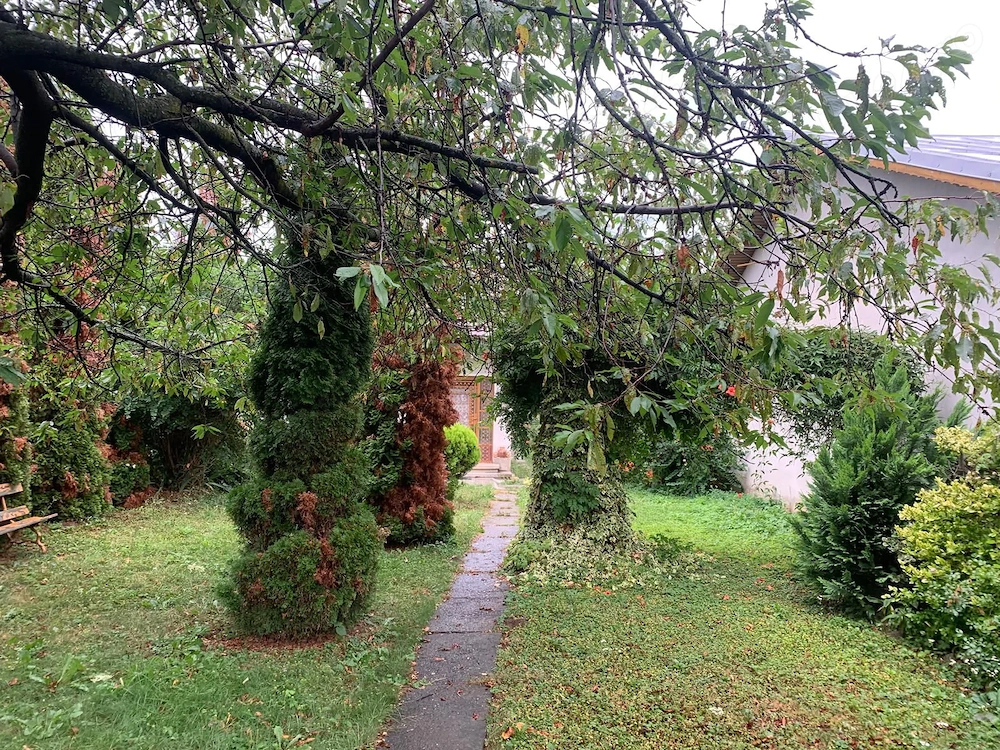 Casa 3 cam, teren 525 mp, livada de ciresi si nuci