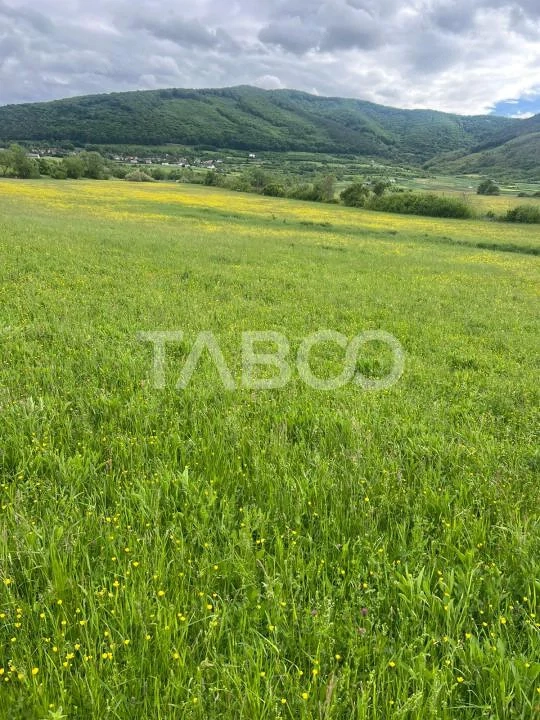 OPORTUNITATE INVESTITIE Teren extravilan 3600 mp Poplaca