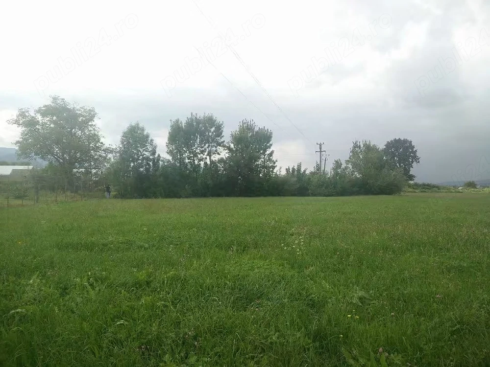 Teren de vânzare SĂPÂNȚA