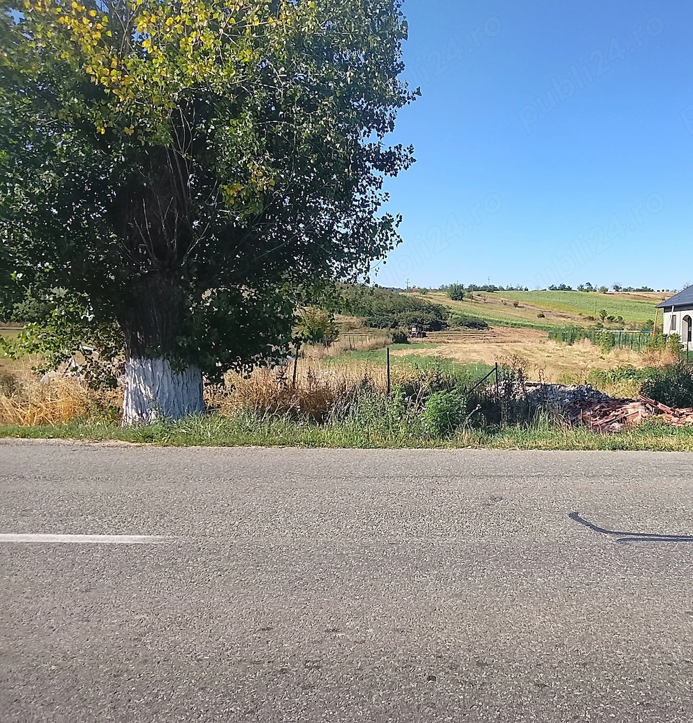 Teren intravilan Predești 