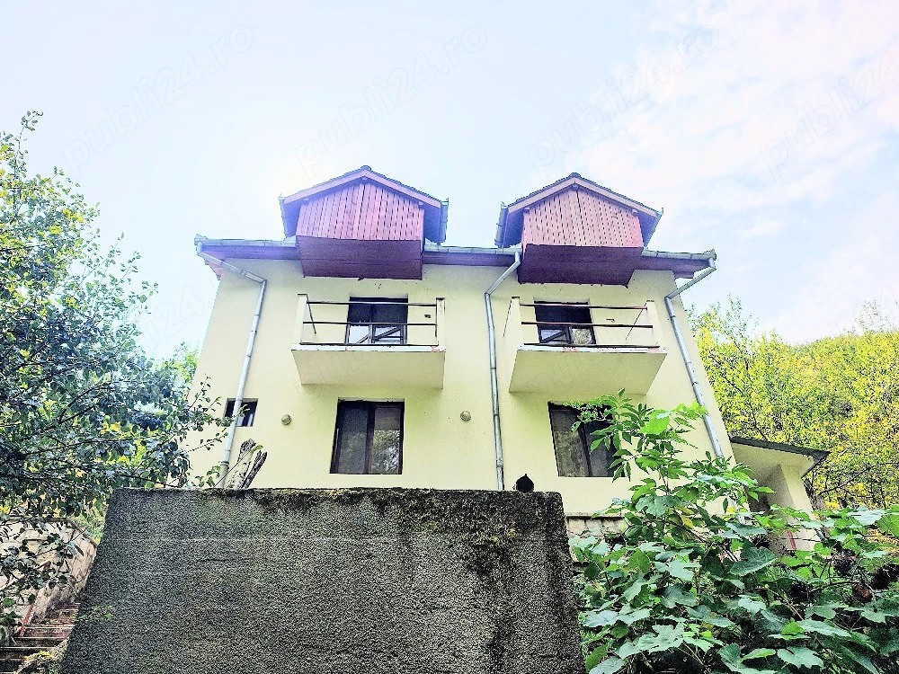 Vând Vila cu 5 camere în Toplița, lângă râul Cerna, în mijlocul naturii. Preț 65000 EUR  