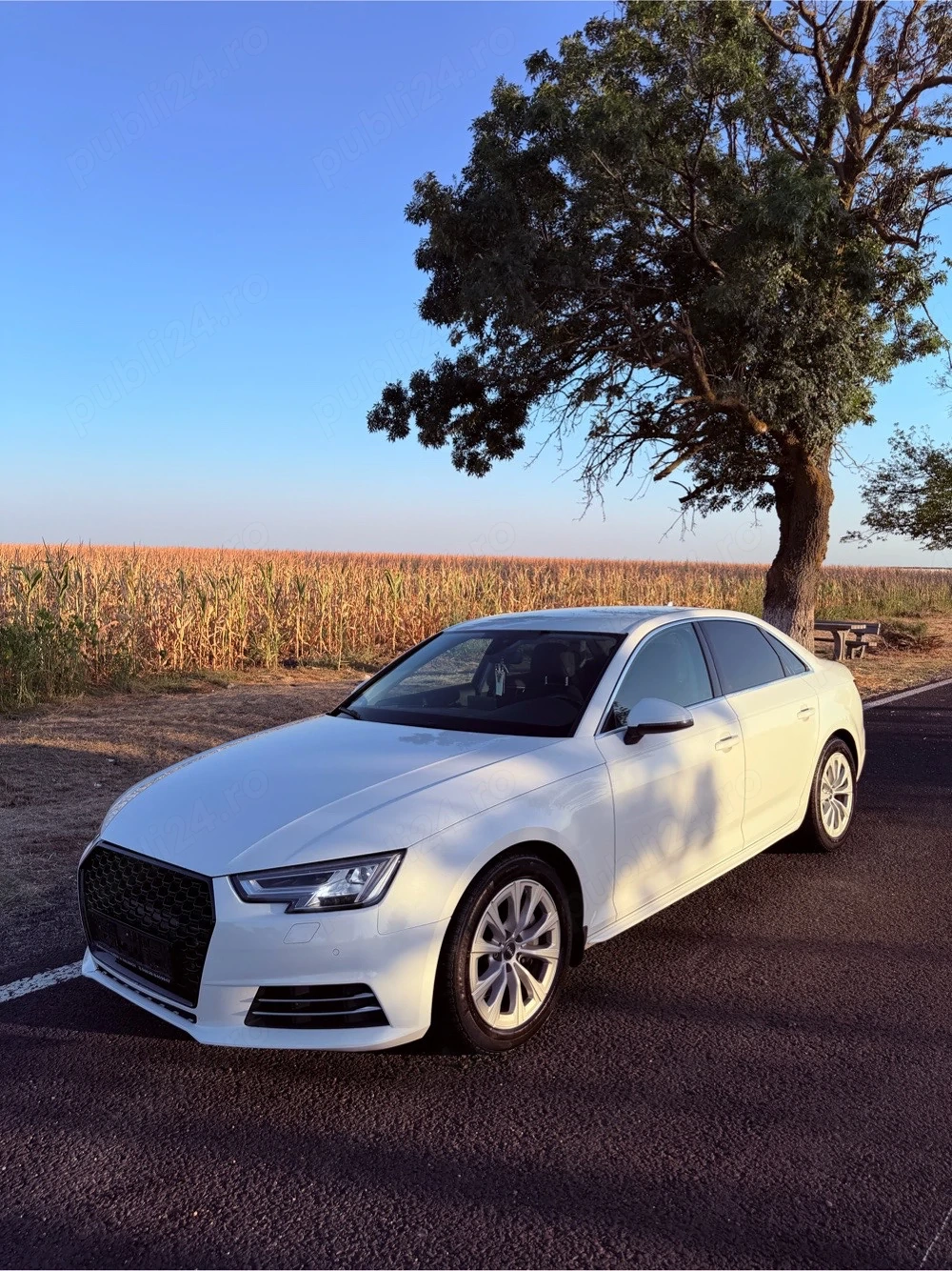 Audi A4 B9 2.0tdi quattro