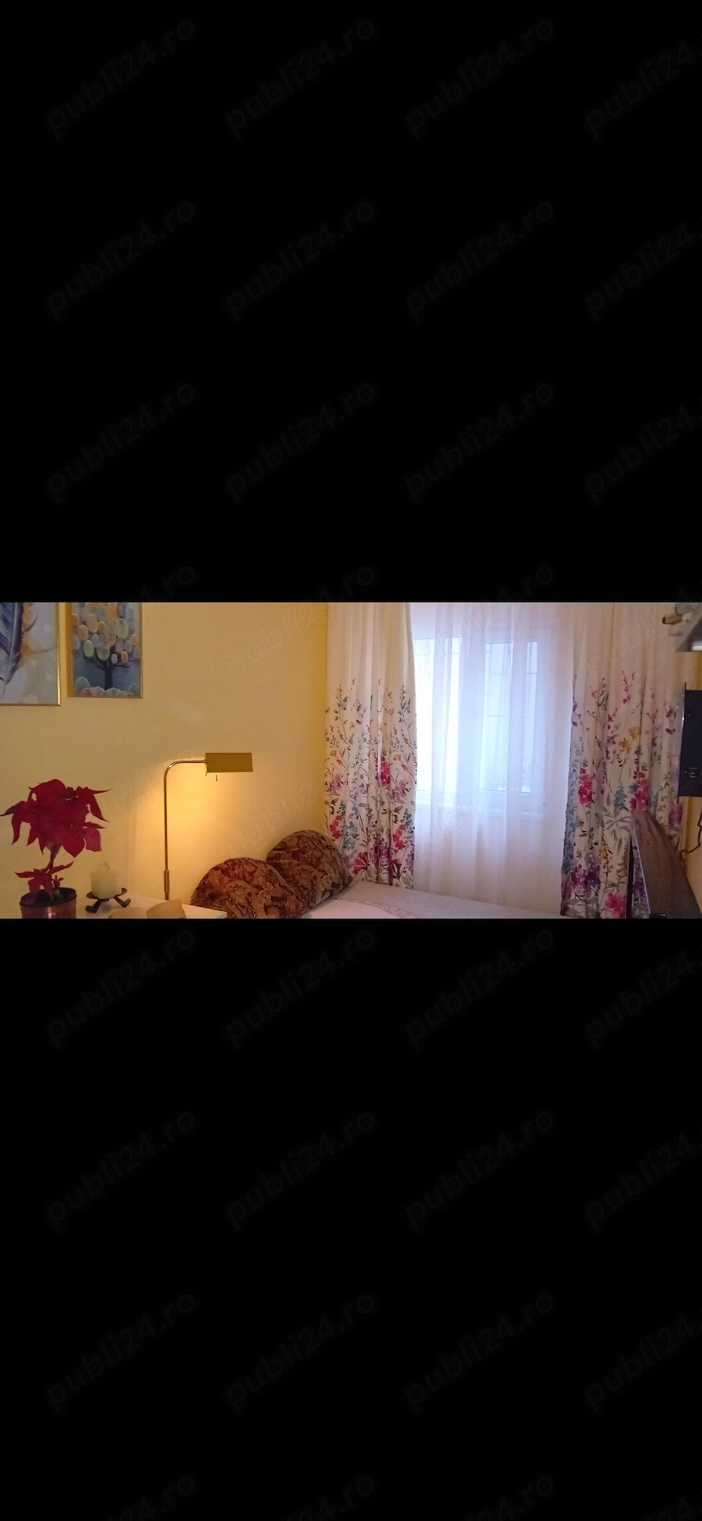 proprietar, garsoniera compex