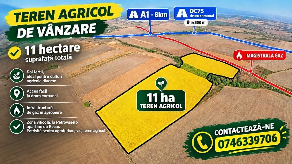 Teren 11 ha - Comasat - 9500euro ha -Petrovaselo (Recaș, Timiș)