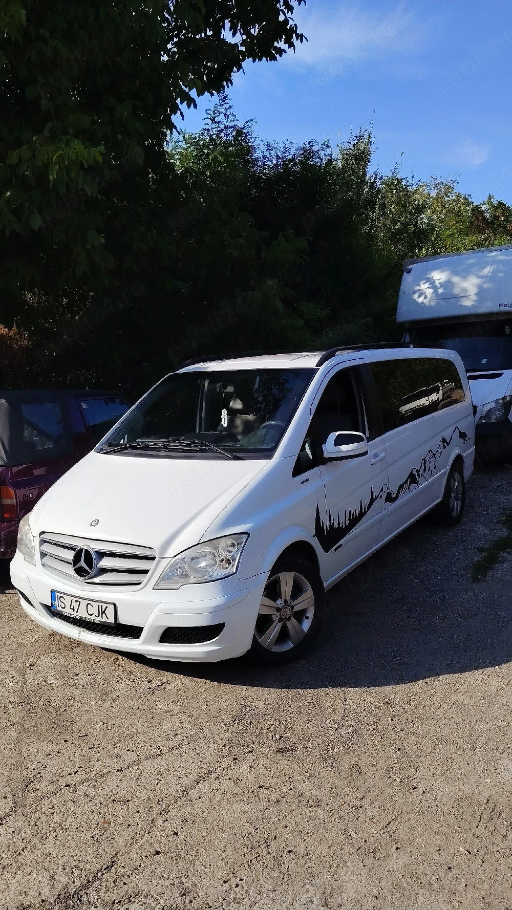 Mercedes Viano