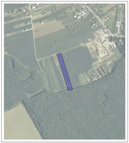 Teren la padurea Snagov