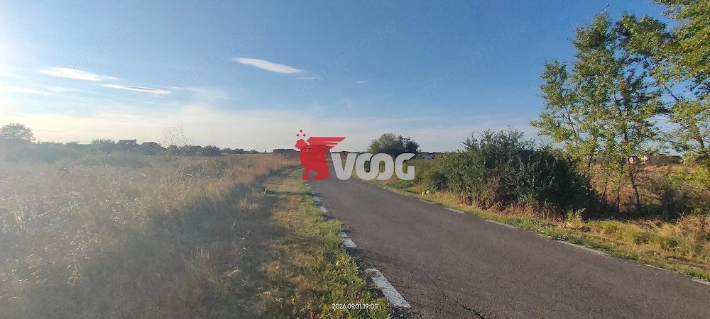 Teren intravilan Sacalaz de vanzare
