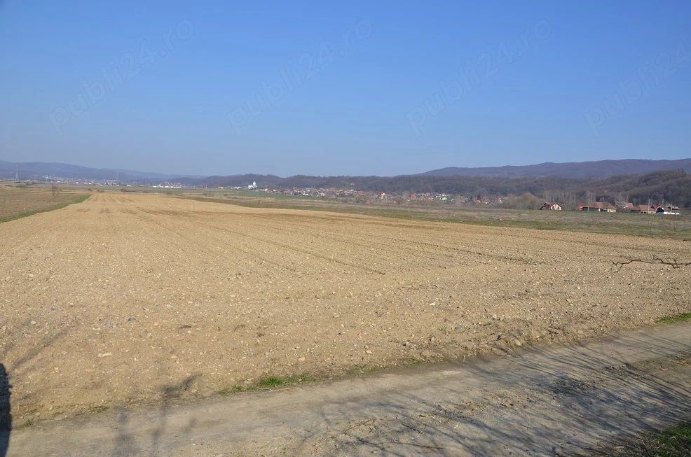 5x Teren BUDESTI VALCEA 45.000 mp ! Ideal Panouri ferme fonduri etc