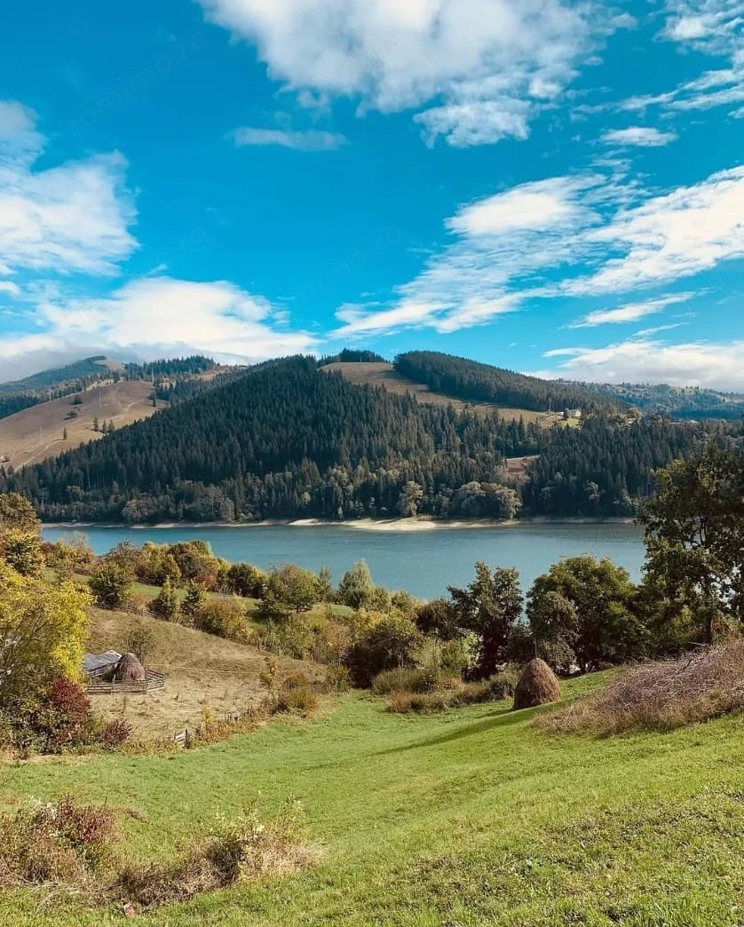 Teren cu acces direct la lac Bicaz