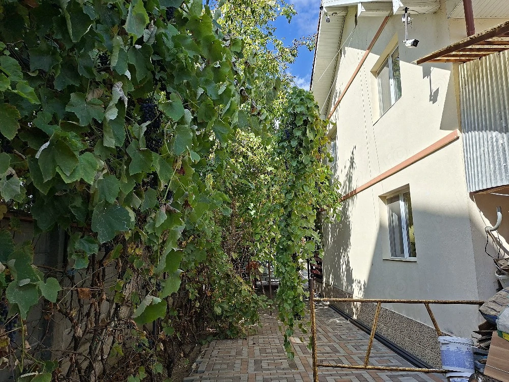 Casă de vânzare în Viișoara , Bistrița-Năsăud 