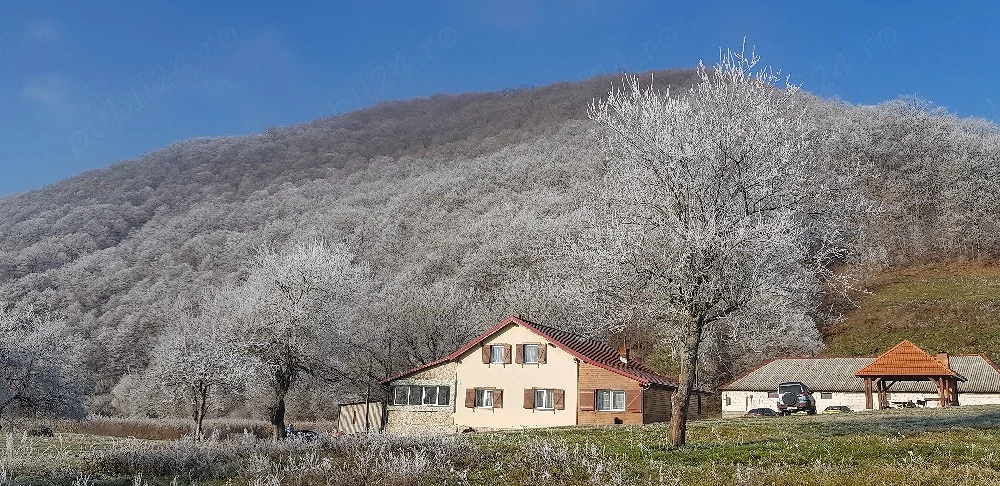 Cabana Revelion in Cheile Nerei
