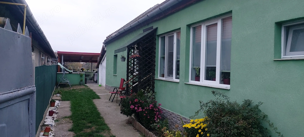 Casa Peciu nou